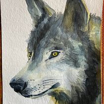 My project for course: Experimental Watercolor Techniques for Beginners. Un progetto di Illustrazione tradizionale, Belle arti, Pittura ad acquerello e Illustrazione naturalistica di Monika - 19.04.2022