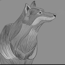 Mi Proyecto del curso: Ilustración naturalista de animales con Procreate. Un proyecto de Ilustración tradicional, Ilustración digital, Dibujo realista e Ilustración naturalista				 de katiuskav - 20.04.2022