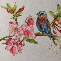 My project for course: Artistic Watercolor Techniques for Illustrating Birds. Projekt z dziedziny Trad, c, jna ilustracja, Malowanie akwarelą, R, sunek realist, czn, Ilustracja naturalist i czna użytkownika Renata Brito - 20.04.2022