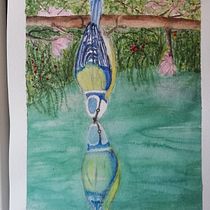 Il mio progetto del corso: Acquerello artistico per illustrazione di animali: gli uccelli. Projekt z dziedziny Trad, c, jna ilustracja, Ilustracja naturalist i czna użytkownika mcristina_monti - 15.04.2022