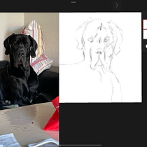 Mein Kursprojekt: Karikaturen zeichnen mit Infinite Painter. Un projet de Illustration traditionnelle et Illustration numérique de Sofia Poulsen - 21.04.2022