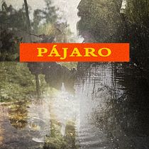 PÁJARO. Film, Video, TV, Art Direction, Photograph, Post-production, Video, Audiovisual Production, Video Editing, Filmmaking, Script, and YouTube Marketing project by Santiago Vara López - 04.22.2022