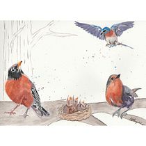 My project for course: Artistic Watercolor Techniques for Illustrating Birds. Projekt z dziedziny Trad, c, jna ilustracja, Malowanie akwarelą, R, sunek realist, czn, Ilustracja naturalist i czna użytkownika Anne Reynolds - 21.04.2022