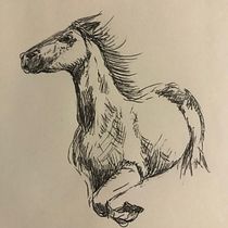 Mi Proyecto del curso: Laboratorio gráfico de ilustración Ein Projekt aus dem Bereich Traditionelle Illustration, Kreativität, Zeichnung, Plakatdesign, Malerei mit Acr, l, Sketchbook und Illustration mit Tinte von Laura Pregliasco - 22.04.2022