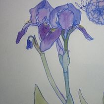 My project for course: Botanical Sketchbooking: A Meditative Approach. Ilustração tradicional, Desenho, Pintura em aquarela, Ilustração botânica, Sketchbook, e Esboçado projeto de Aikanysh Abylova - 26.04.2022
