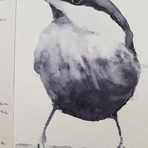 Mon projet du cours : Techniques artistiques d'aquarelle pour illustrer les oiseaux. Traditional illustration, Watercolor Painting, Realistic Drawing, and Naturalistic Illustration project by Sophie - 11.22.2022