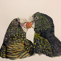 My project for course: Naturalist Bird Illustration with Watercolors. Ilustração tradicional, Pintura em aquarela, Desenho realista e Ilustração naturalista projeto de Emma Geary - 25.04.2022