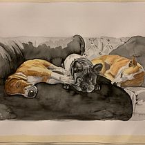 Mon projet du cours : Portraits expressifs d'animaux à l'aquarelle Ein Projekt aus dem Bereich Traditionelle Illustration, Aquarellmalerei, Realistische Zeichnung und Naturalistische Illustration von Helene Trouvé - 25.04.2022