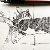 Mój szrafowany pamiętnik / My cross-hatching diary. Ilustração tradicional, Esboçado, Desenho, Sketchbook e Ilustração com tinta projeto de Beata Dul - 26.04.2022