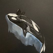 Orca on black watercolor paper . Un progetto di Illustrazione tradizionale, Design di poster , Illustrazione digitale e Manga di Margaret Wilson - 20.04.2022