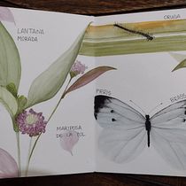 Mi Proyecto del curso: Diario naturalista en acuarela. Traditional illustration, Watercolor Painting, Botanical Illustration, Sketchbook, and Naturalistic Illustration project by Jimena ... - 04.27.2022