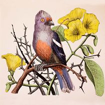 Mi Proyecto del curso: Ilustración naturalista con bolígrafo. Traditional illustration, Drawing, Realistic Drawing, and Naturalistic Illustration project by CARLOS BER - 04.28.2022