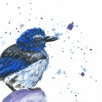 My project for course: Artistic Watercolor Techniques for Illustrating Birds. Projekt z dziedziny Trad, c, jna ilustracja, Malowanie akwarelą, R, sunek realist, czn, Ilustracja naturalist i czna użytkownika Amanda Merry - 29.04.2022