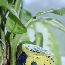 Mein Kursprojekt: Keramik: Designe und töpfere Stücke zur Pflanzenbewässerung. Un proyecto de Diseño de complementos, Artesanía, Bellas Artes, Cerámica y DIY de Susanne Ehlers - 29.04.2022