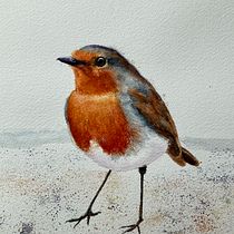 My project for course: Artistic Watercolor Techniques for Illustrating Birds. Projekt z dziedziny Trad, c, jna ilustracja, Malowanie akwarelą, R, sunek realist, czn, Ilustracja naturalist i czna użytkownika Mike Jacobs - 29.04.2022