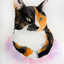 A cat. Projekt z dziedziny Trad, c, jna ilustracja, Malowanie akwarelą, R, sunek realist, czn, Ilustracja naturalist i czna użytkownika Dàmaris Alba - 30.04.2022