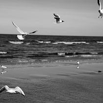 My project for course: Beginner’s Photography: Basic Camera Use and Theory. Photograph, Digital Photograph, and Photographic Composition project by Lana Beržinska - 04.29.2022