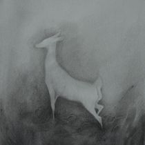Il mio progetto del corso: Illustrare la natura: esplorazione creativa. Traditional illustration, Painting, Drawing, Watercolor Painting, Ink Illustration, and Naturalistic Illustration project by Martina Scarlata - 05.01.2022