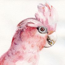 My project for course: Illustrating Nature: A Creative Exploration. Traditional illustration, Painting, Drawing, Watercolor Painting, Ink Illustration, and Naturalistic Illustration project by Jill Hardwicke - 05.01.2022
