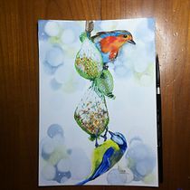 Mon projet du cours : Techniques artistiques d'aquarelle pour illustrer les oiseaux. Projekt z dziedziny Trad, c, jna ilustracja, Malowanie akwarelą, R, sunek realist, czn, Ilustracja naturalist i czna użytkownika sdwuil - 13.01.2022