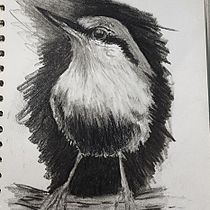 My project for course: Artistic Watercolor Techniques for Illustrating Birds-Tonal Drawing. Projekt z dziedziny  R i sunek użytkownika MARIE SULLENS - 01.05.2022