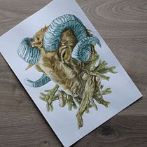 Ram and seaweed - My project for course: Watercolor Techniques for Dreamlike Illustrations. Traditional illustration, Drawing, Watercolor Painting, and Editorial Illustration project by lambert.anna87 - 05.03.2022