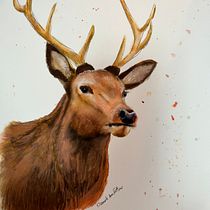 My project for course: Expressive Animal Portraits in Watercolor. Projekt z dziedziny Trad, c, jna ilustracja, Malowanie akwarelą, R, sunek realist, czn, Ilustracja naturalist i czna użytkownika Pamela Ann Fetzer - 01.05.2022