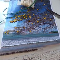 Meu projeto do curso: Introdução ao bordado em fotografias: crie imagens com texturas. Photograph, Paper Craft, Embroider, DIY, and Textile Design project by clariayres - 05.04.2022