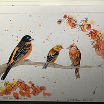 My project for course: Artistic Watercolor Techniques for Illustrating Birds. Projekt z dziedziny Trad, c, jna ilustracja, Malowanie akwarelą, R, sunek realist, czn, Ilustracja naturalist i czna użytkownika lilylynn - 04.05.2022