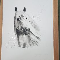 My project for course: Expressive Animal Portraits in Watercolor. Projekt z dziedziny Trad, c, jna ilustracja, Malowanie akwarelą, R, sunek realist, czn, Ilustracja naturalist i czna użytkownika nadja_scherzinger - 05.05.2022