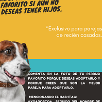 Mi Proyecto del curso: Creatividad publicitaria para todos los públicos. Publicidade, Consultoria criativa, Marketing, e Criatividade projeto de Luis de la O - 05.05.2022
