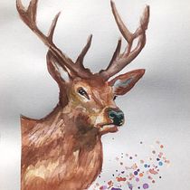 Mi Proyecto del curso: Retratos expresivos de animales en acuarela. Projekt z dziedziny Trad, c, jna ilustracja, Malowanie akwarelą, R, sunek realist, czn, Ilustracja naturalist i czna użytkownika Laura Ximena Vásquez Torres - 06.05.2022