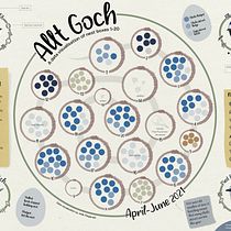 My project for course: Effective Data Visualization: Transform Information into Art. Graphic Design, Information Design, Interactive Design & Infographics project by Jade - 05.02.2022