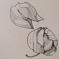 My project for course: Illustrated Diary: Fill Your Sketchbook with Experiences. Ilustração tradicional, Esboçado, Desenho, Sketchbook e Ilustração com tinta projeto de bejuleo1 - 07.05.2022