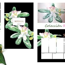 Mi Proyecto del curso: Ilustración botánica con acuarela. Ilustração tradicional, Artes plásticas, Pintura, Desenho, Pintura em aquarela e Ilustração botânica projeto de eperez90 - 08.05.2022