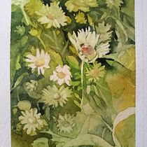 Il mio progetto del corso: Creazione di palette di colore con acquerello. Un progetto di Illustrazione tradizionale, Belle arti, Pittura, Pittura ad acquerello e Teoria del colore di patrizia.bartolini62 - 08.05.2022