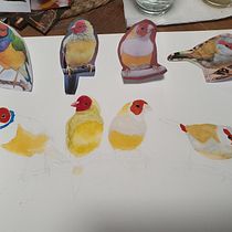 My project for course: Artistic Watercolor Techniques for Illustrating Birds. Traditional illustration, Watercolor Painting, Realistic Drawing, and Naturalistic Illustration project by Deb Wands - 05.08.2022