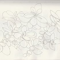 My project for course: Botanical Sketchbooking: A Meditative Approach. Ilustração tradicional, Esboçado, Desenho, Pintura em aquarela, Ilustração botânica, e Sketchbook projeto de Vicky Hawkins - 11.05.2022