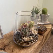 Mi proyecto del curso: Arte vegetal: crea tu propio terrario abierto Ein Projekt aus dem Bereich Innendesign, L, schaftsbau, Dekoration von Innenräumen, DIY und Blumen- und Pflanzendesign von natalia_mattmann - 10.05.2022