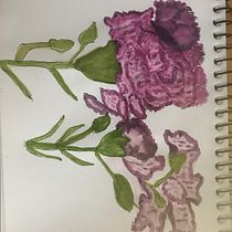 My project for course: Botanical Sketchbooking: A Meditative Approach. Ilustração tradicional, Esboçado, Desenho, Pintura em aquarela, Ilustração botânica, e Sketchbook projeto de deirdreward04 - 14.05.2022
