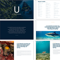 Mi proyecto del curso: Diseño de presentaciones: crea una plantilla profesional. Un projet de Gestion de la conception, Design graphique, Design de l'information, Marketing, Communication , et Design de présentation de Luis Carlos Solano - 12.05.2022