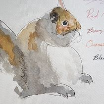 My project for course: Expressive Animal Portraits in Watercolor  Stag's Antlers. Projekt z dziedziny Trad, c, jna ilustracja, Malowanie akwarelą, R, sunek realist, czn, Ilustracja naturalist i czna użytkownika Mark Hornby - 16.05.2022