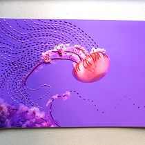 MIS DOS PROYECTOS DEL CURSO INTRODUCCIÓN AL FOTOBORDADO: 1. MEDUSA, 2 LLAMA Ein Projekt aus dem Bereich Fotografie, Kartonmodellbau, DIY, Textildesign und Stickerei von Scarlett Troncoso Labussieri - 16.05.2022