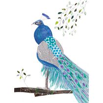 Peafowl. Traditional illustration, Painting, Drawing, Watercolor Painting, Ink Illustration, and Naturalistic Illustration project by Katie Smith - 05.17.2022