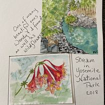 My project for course: Watercolor Travel Journal for Yosemite. Traditional illustration, Watercolor Painting, Architectural Illustration, and Sketchbook project by Patricia Czichos - 05.17.2022