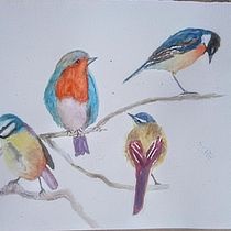 My project for course: Artistic Watercolor Techniques for Illustrating Birds. Traditional illustration, Watercolor Painting, Realistic Drawing, and Naturalistic Illustration project by Emiliano - 05.17.2022