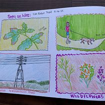 My project for course: Illustrated Life Journal: A Daily Mindful Practice. Fine Arts, Sketching, Creativit, Drawing, and Sketchbook project by Kellyn Allavie - 05.17.2022