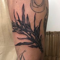 Meu projeto do curso: Técnicas de tatuagem blackwork com fine line. Tattoo Design project by daiane.o.c - 05.18.2022