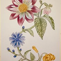Mi proyecto del curso: Acuarela realista para composiciones botánicas. Un projet de Illustration traditionnelle, Peinture, Dessin, Aquarelle et Illustration botanique de Pili Guardiola - 19.05.2022