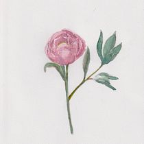 My project for course: Botanical Watercolor: Illustrate the Anatomy of Flowers. Un progetto di Illustrazione tradizionale, Belle arti, Pittura, Disegno, Pittura ad acquerello e Illustrazione botanica di Savinee Montalampa - 19.05.2022